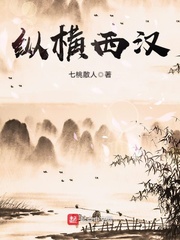 纵横西汉章节列表