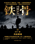 铁骨章节列表