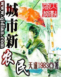 城市新农民章节列表