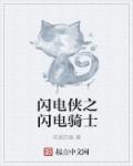 闪电侠之闪电骑士章节列表