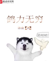 鸽力无穷章节列表