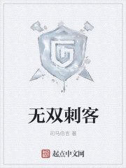 无双刺客章节列表