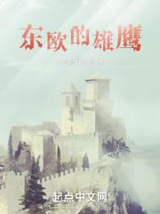 东欧的雄鹰章节列表