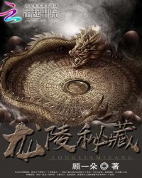 龙陵秘藏章节列表