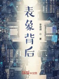 表象背后章节列表