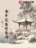 奋斗在嘉靖年间章节列表