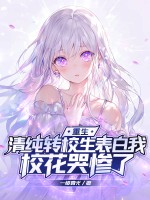 重生：清纯转校生表白我，校花哭惨了章节列表