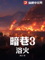 暗巷3：浴火章节列表