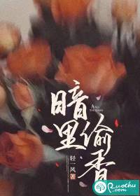 暗里偷香章节列表