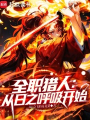 全职猎人：从日之呼吸开始章节列表