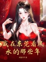 我在东莞看风水的那些年章节列表