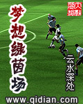 梦想绿茵场章节列表