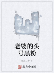 老婆的头号黑粉章节列表