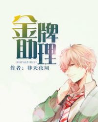 金牌助理章节列表