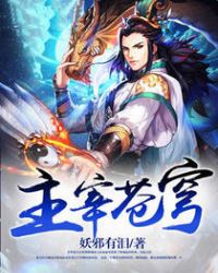 主宰苍穹章节列表