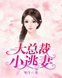 大总裁，小逃妻！章节列表