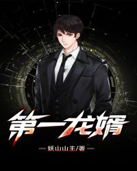 第一龙婿章节列表