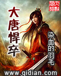 大唐悍卒章节列表
