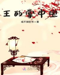 王的掌中宝章节列表