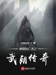 神探狄仁杰之武朝传奇最新免费全文章节列表