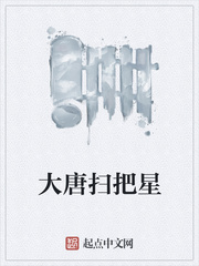 大唐扫把星章节列表