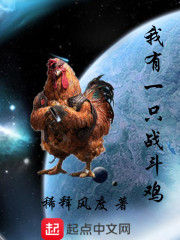 我有一只战斗鸡章节列表