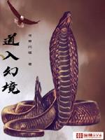 道入幻境章节列表