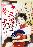 爷，夫人又逃婚了章节列表