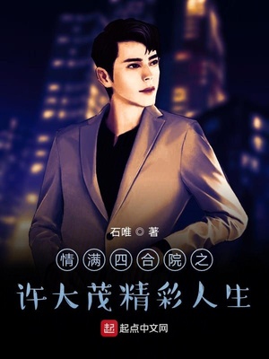 情满四合院之许大茂精彩人生章节列表