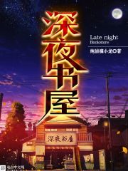 深夜书屋章节列表