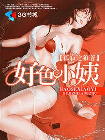 好色小姨章节列表