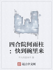 四合院何雨柱：快到碗里来章节列表