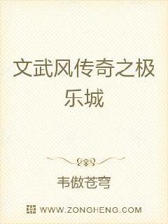 文武风传奇之极乐城章节列表